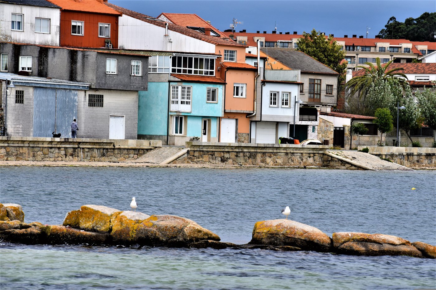 Cambados en las Rías Baixas